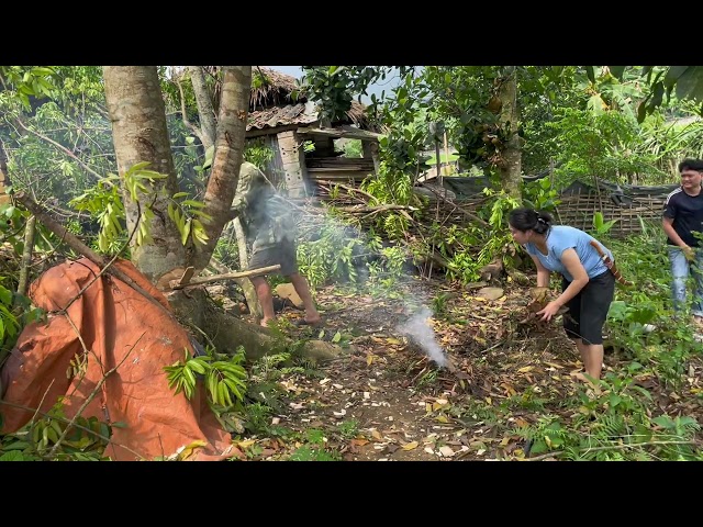 Cutting down trees to make a house with bamboo part 3.
