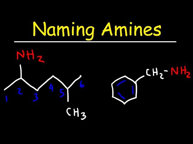 Naming Amines - IUPAC Nomenclature & Common Names