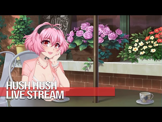Hush Hush Gameplay LIVE STREAM Part 3