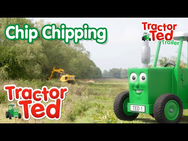 Chip Chipping 🌳 | New Tractor Ted Trailer | Tractor Ted Official Channel