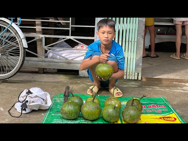 Orphan  - Harvesting Bamboo shoots and Rare Fruits Selling and Buying Rice, Taking Care of the Farm