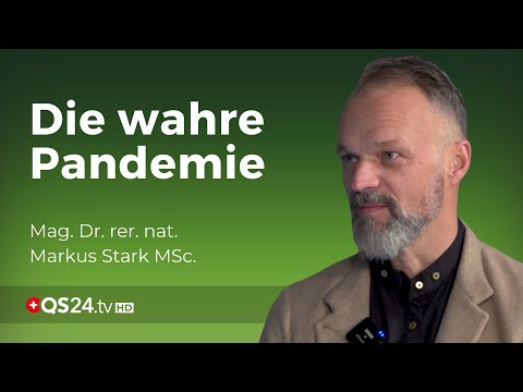 Mag. Dr. rer. nat. Markus Stark MSc. bei QS24