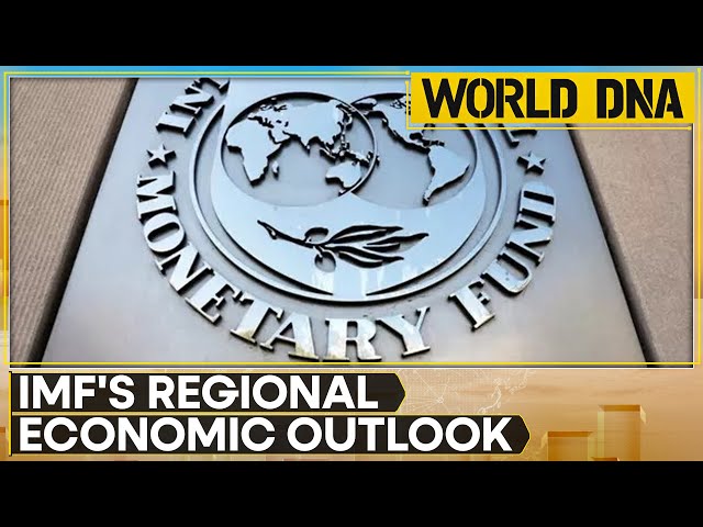 IMF: Global recovery is steady but slow and differs by region | WION World DNA | WION