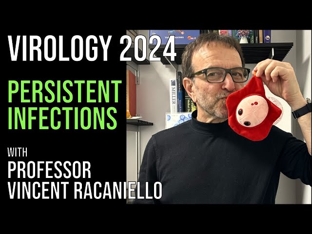 Virology Lectures 2024 #17: Persistent Infections