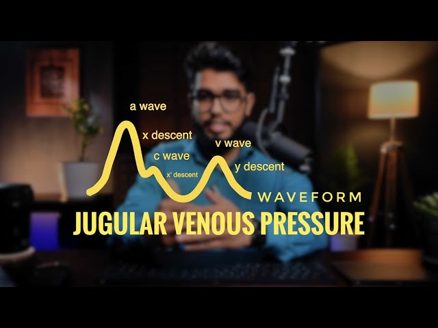Jugular Venous Pressure - JVP Waveforms
