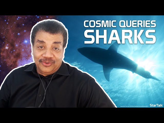 StarTalk Podcast: Cosmic Queries – Sharks, with Neil deGrasse Tyson & Jordan Klepper