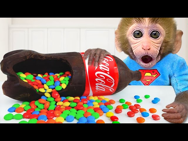 Monkey Baby Bon Bon eat coca cola chocolate candy and Harvest watermelon with ducklings on the farm