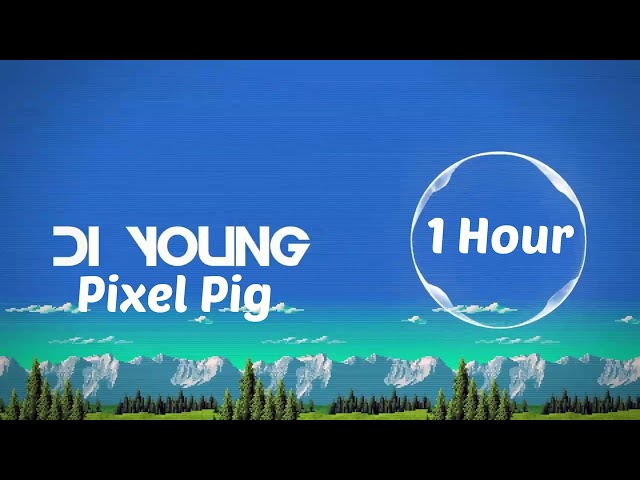 Di Young  Pixel Pig 1 hour