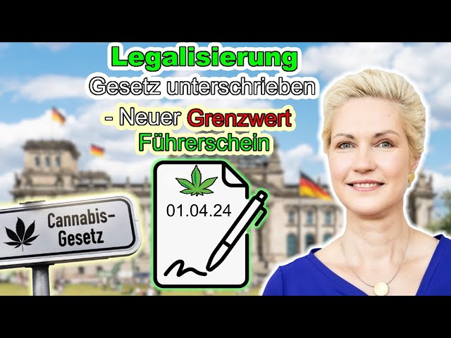 Unterschrieben Cannabis Legalisierung kommt am 1 April ! Grenzwert Führerschein