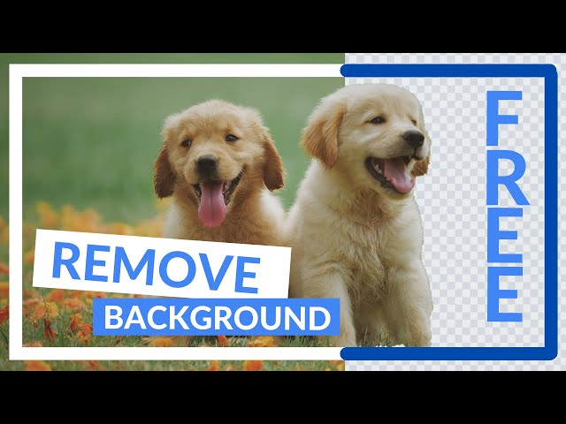 Remove Background From any Picture in Windows FREE