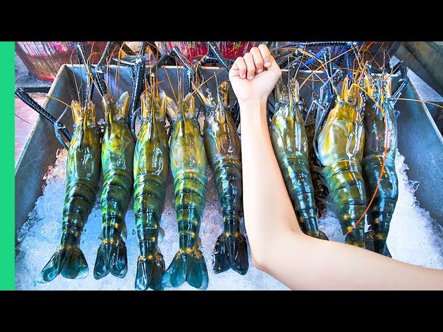 RECORD BREAKING THAI PRAWNS!!! The ULTIMATE Thai Seafood Experience in Bangkok, Thailand!