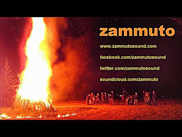 Zammuto - Zebra Butt (Official)