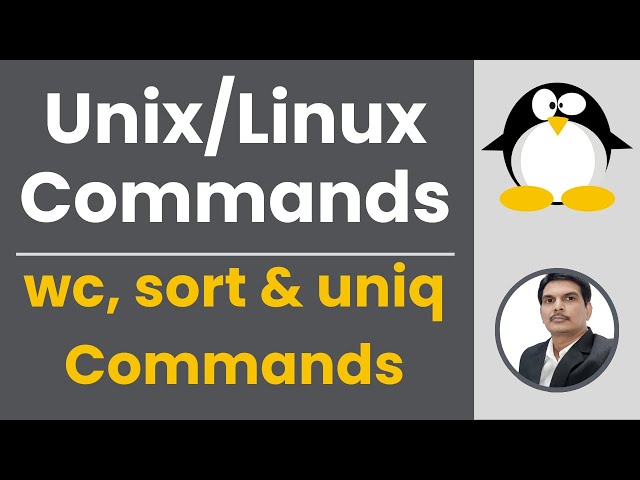 Part 6 - Unix/Linux for Testers | wc, sort & uniq Commands