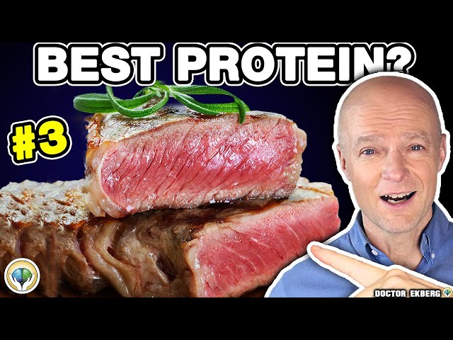 Top 10 Foods High In Protein That You Should Eat