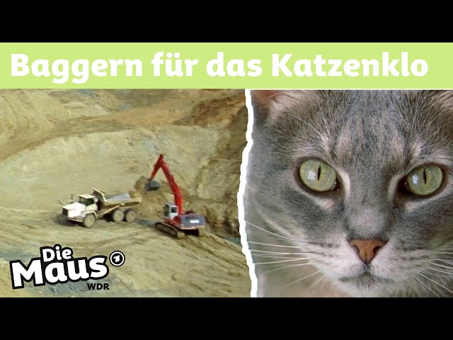 Wie wird Katzenstreu hergestellt? | DieMaus | WDR