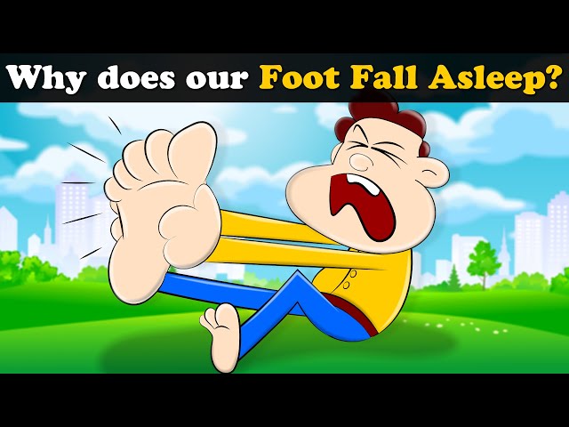Why does our Foot Fall Asleep? + more videos | #aumsum #kids #science #education #whatif