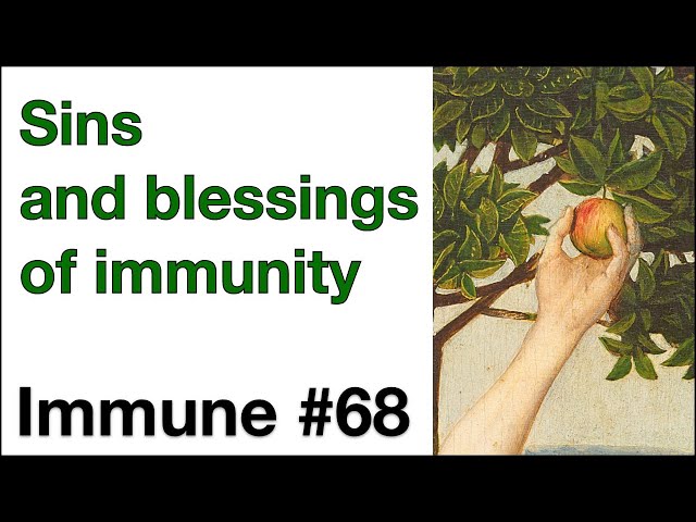 Immune 68: Sins and blessings of immunity