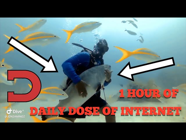 1 Hour Of Daily Dose Of Internet *ONE INTRO ONLY