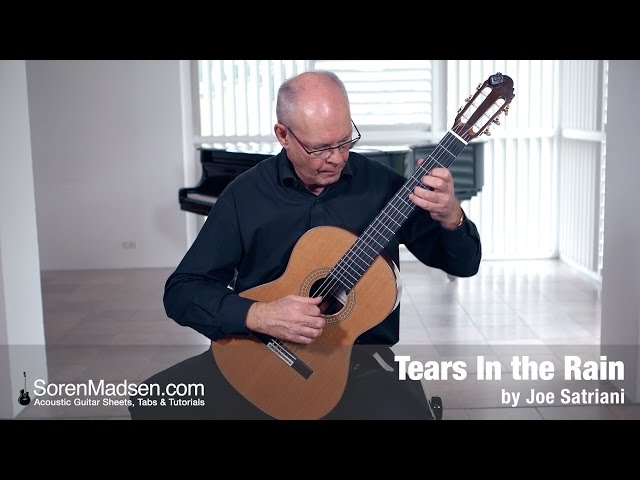 Tears in the Rain (Joe Satriani) - Danish Guitar Performance - Soren Madsen