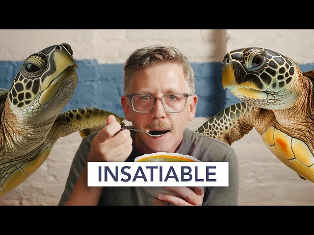 Why turtle soup disappeared