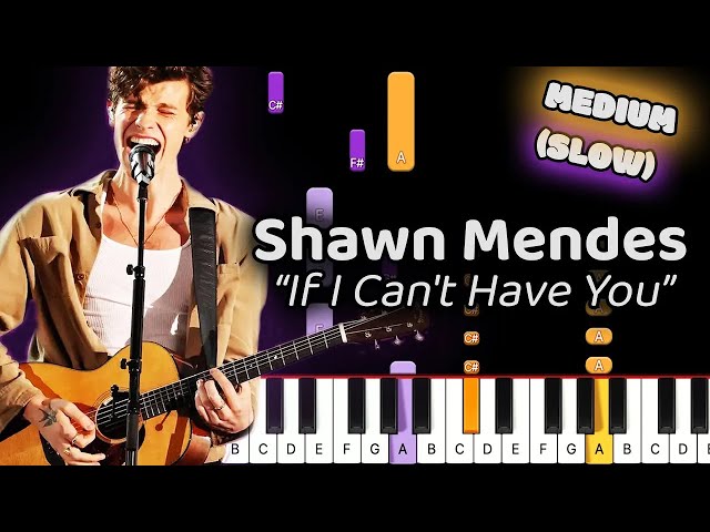 Learn To Play If I Can't Have You Shawn Mendes on Piano! (Medium) SLOW 50% Speed