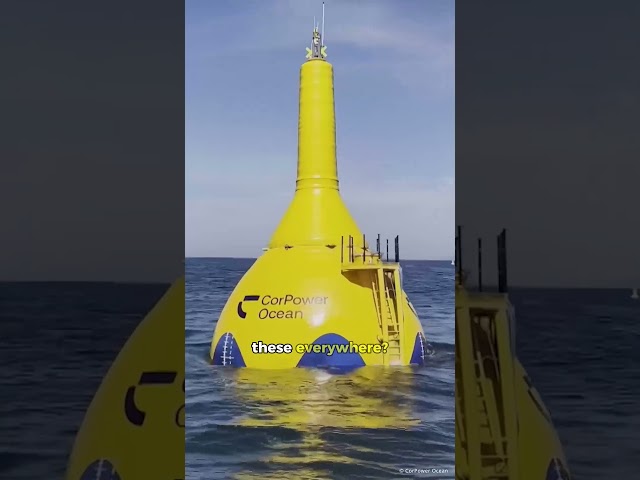 The next big thing in wave energy?