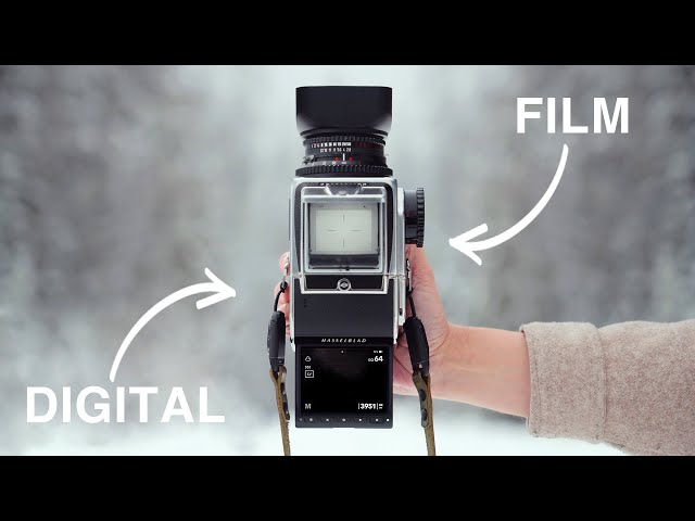 Using the Hasselblad CFV 100C Digital Back on the 907X & 500CM