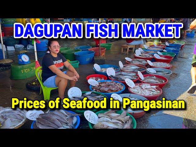 DAGUPAN FISH MARKET | Pangasinan’s Biggest Seafood Market Prices this November 2023 | Philippines