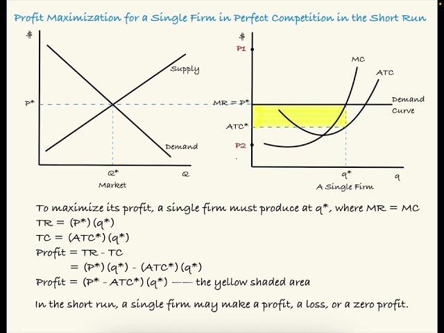 Types of Markets and Perfect Competition: Short Run and Long Run Profit Maximization