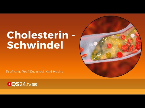 hoher Cholesterin | ergänzende Sichtweisen von Experten