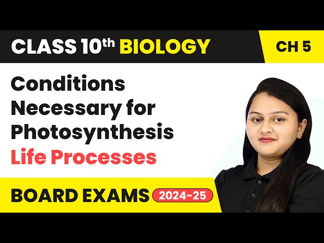 Conditions Necessary for Photosynthesis - Life Processes | Class 10 Biology Chapter 5 | CBSE 2024-25