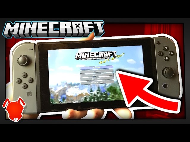 MY HOPES for MINECRAFT NINTENDO SWITCH EDITION!