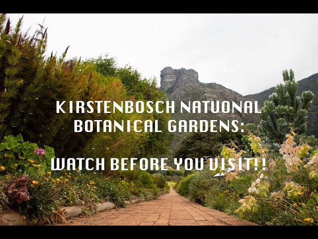 KIRSTENBOSCH BOTANICAL GARDENS - WATCH BEFORE YOU VISIT!!