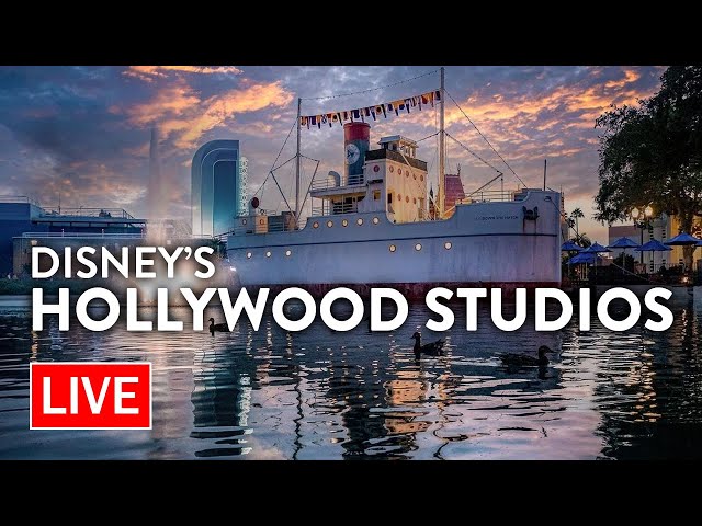 🔴 LIVE: A New Year at Disney's Hollywood Studios | Walt Disney World Live Stream
