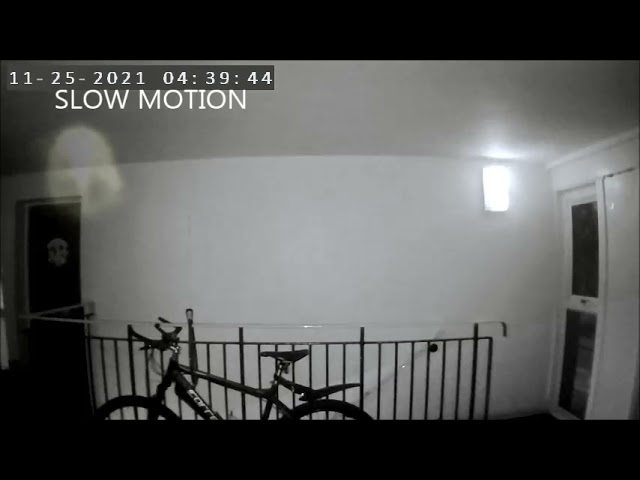 Video Doorbell Anomaly