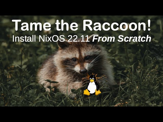 Tame the Raccoon: Install NixOS 22.11 From Scratch