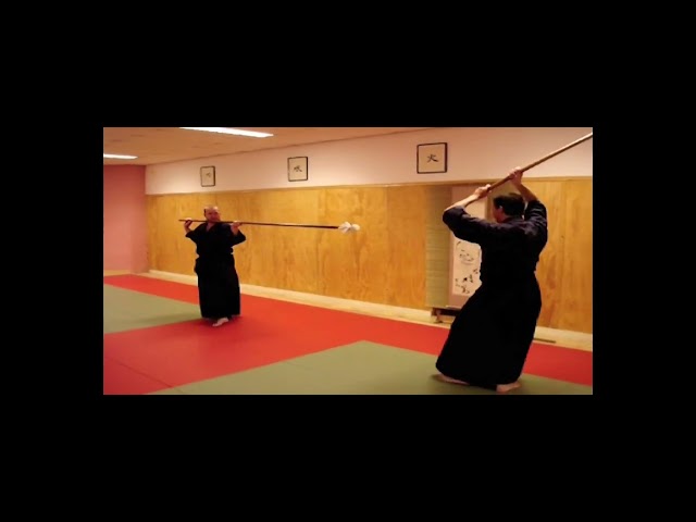 Tsuki dome no yari (stopping thrust) | The Katori Of Shinto Ryu (Vol. 2)