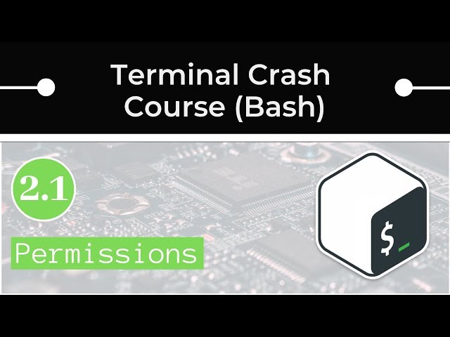 Bash User and Group Permission Sets (chmod, chown)