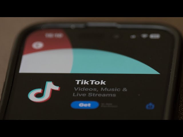If the U.S. bans TikTok, Canada will likely follow: analyst