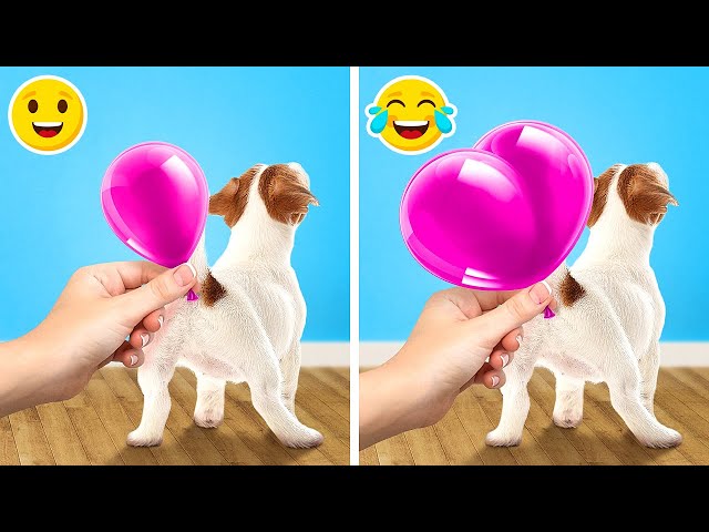 Genius Hacks And Smart Gadgets For Pet Owners || Cute Pet Hacks And DIY Crafts Ideas