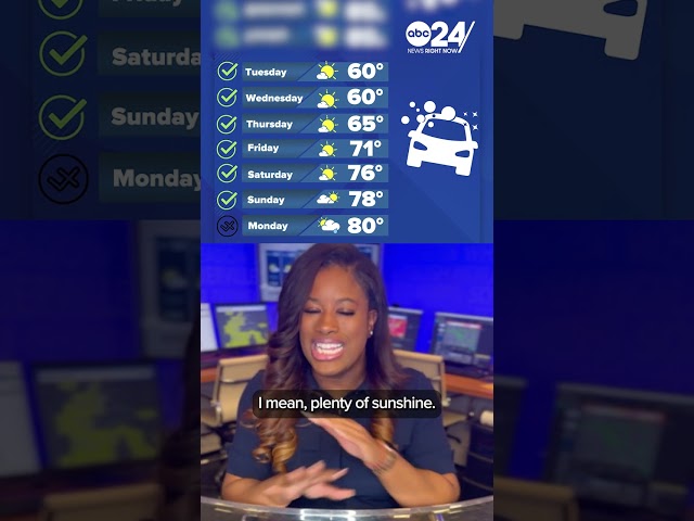Your car wash forecast with ABC24 Chief Meteorologist Danielle Moss. #Memphis #weather  #abc24