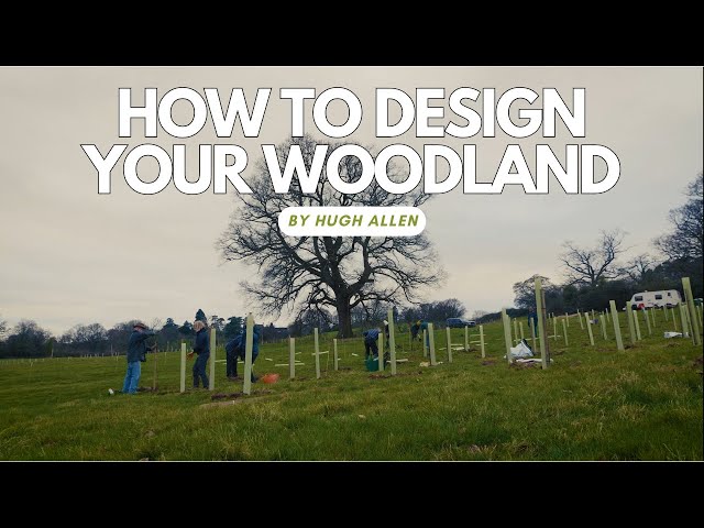 How to Design your Woodland