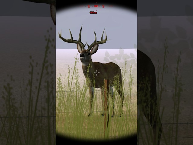 World Record Buck Appeared While Following My Prey - Deer Hunter 2005 [PC] #shorts