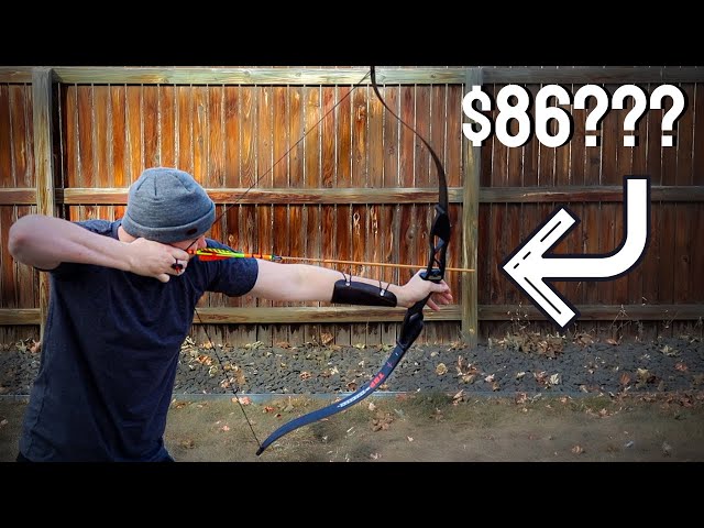 $86 Recurve bow you probably shouldn't buy.               (TopArchery Takedown bow Aluminum Riser)