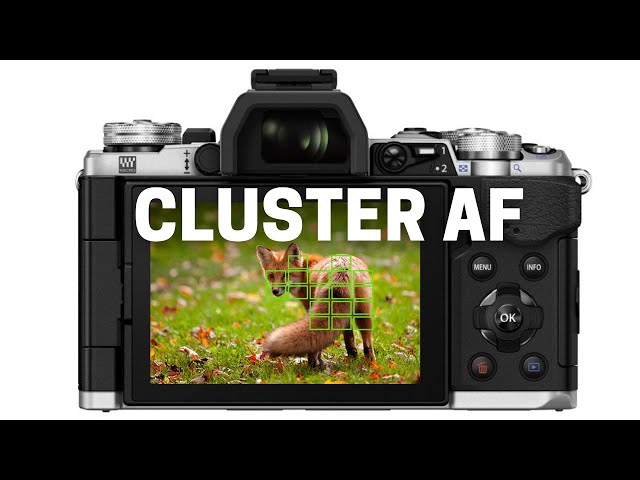 Better C-AF With CLUSTER AREA Shooting On Olympus OM-D