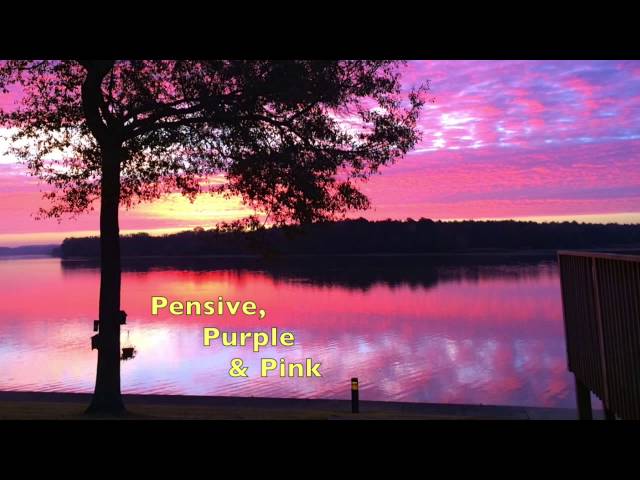 Pensive, Purple & Pink (Piano for Reflection)