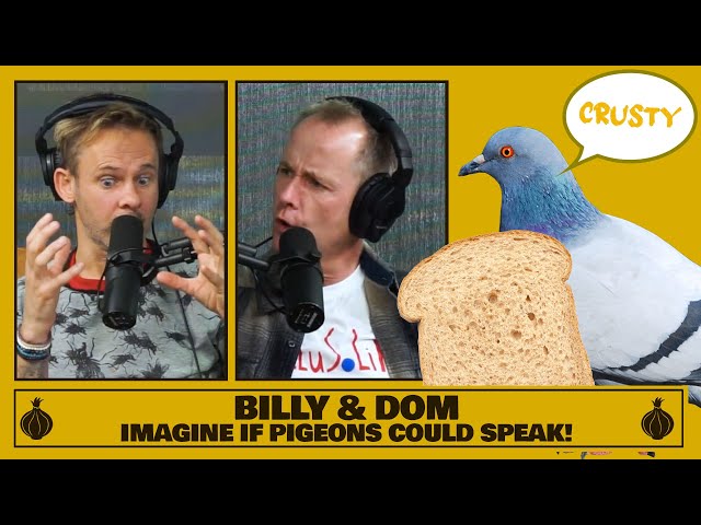 Billy & Dom Imagine of Pigeons Could Speak! | The Friendship Onion