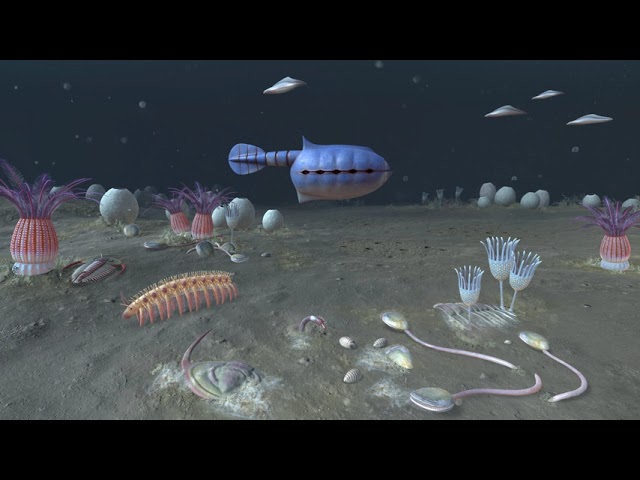 First Animals - Cambrian ocean scene