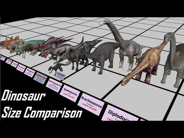 Dinosaur Size Comparison 3D