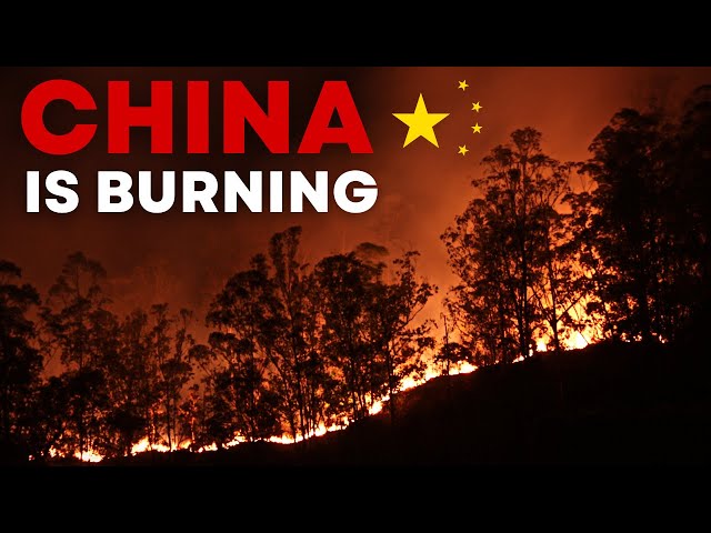 China's WORST Heat Wave DROUGHT & WILDFIRES | China is Burning